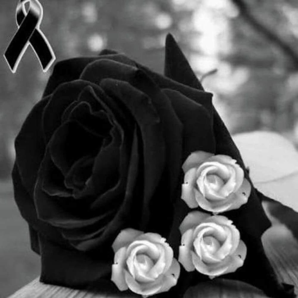 Meet your Posher, Rosie